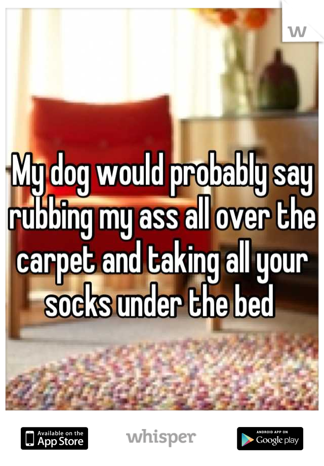 My dog would probably say rubbing my ass all over the carpet and taking all your socks under the bed 