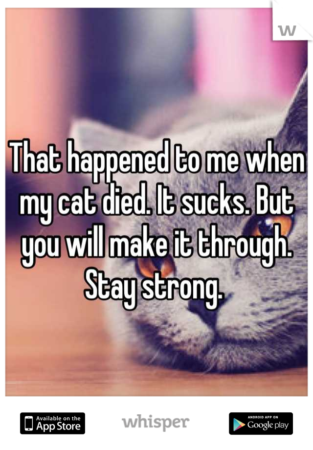 That happened to me when my cat died. It sucks. But you will make it through. Stay strong. 