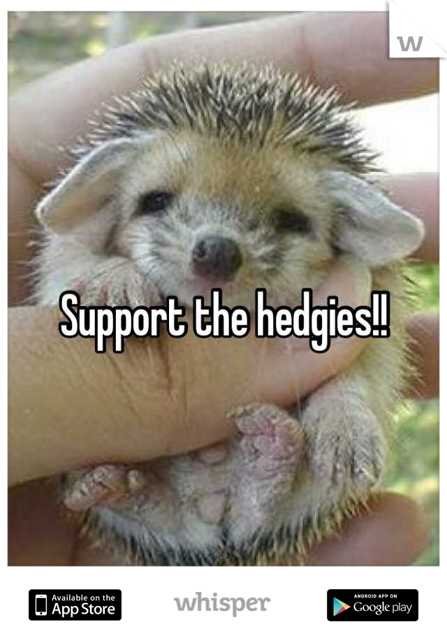 Support the hedgies!!