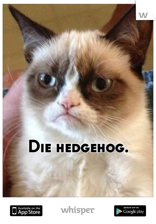 



Die hedgehog.