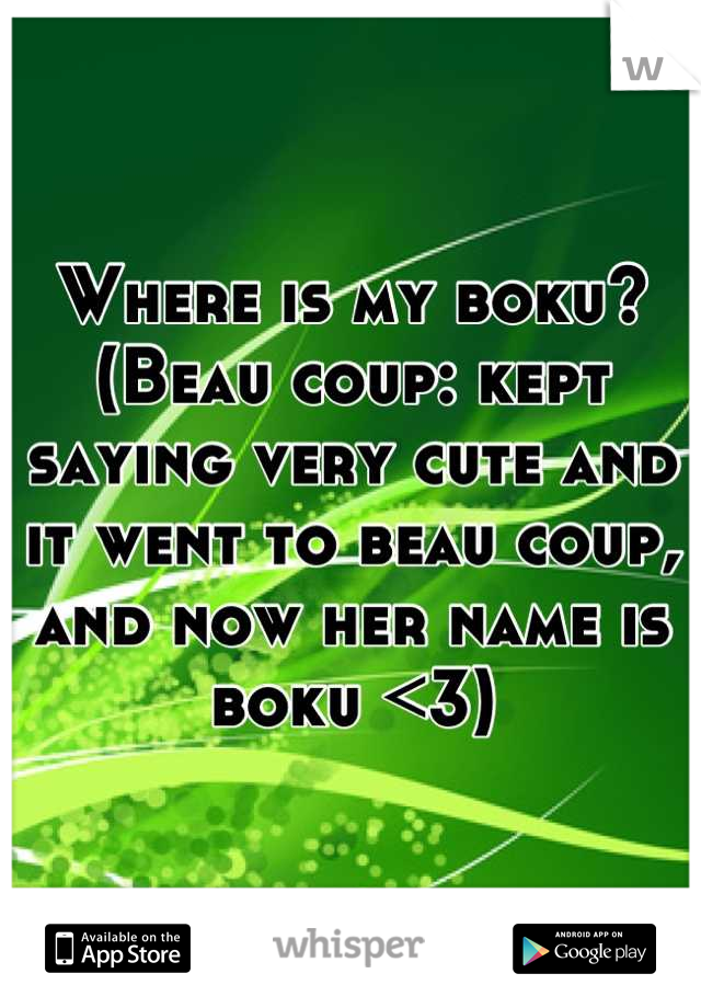 Where is my boku? 
(Beau coup: kept saying very cute and it went to beau coup, and now her name is boku <3)