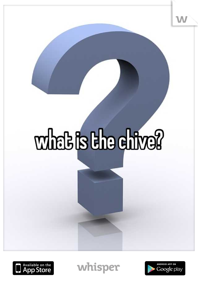 what is the chive?