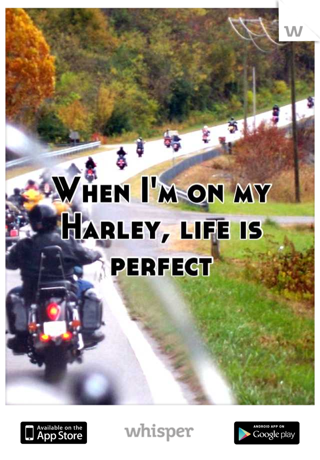 When I'm on my Harley, life is perfect