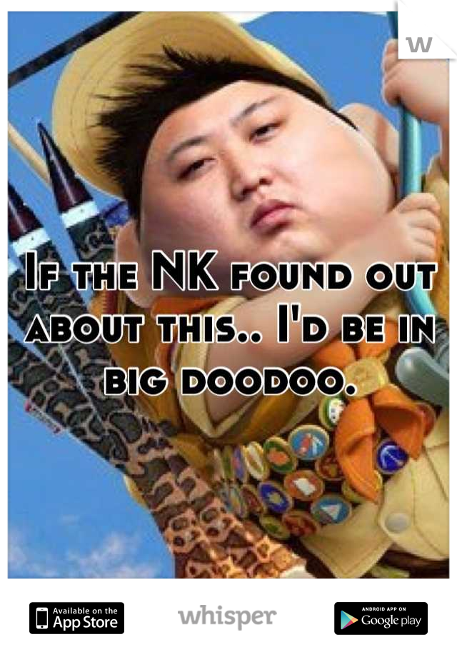 If the NK found out about this.. I'd be in big doodoo.
