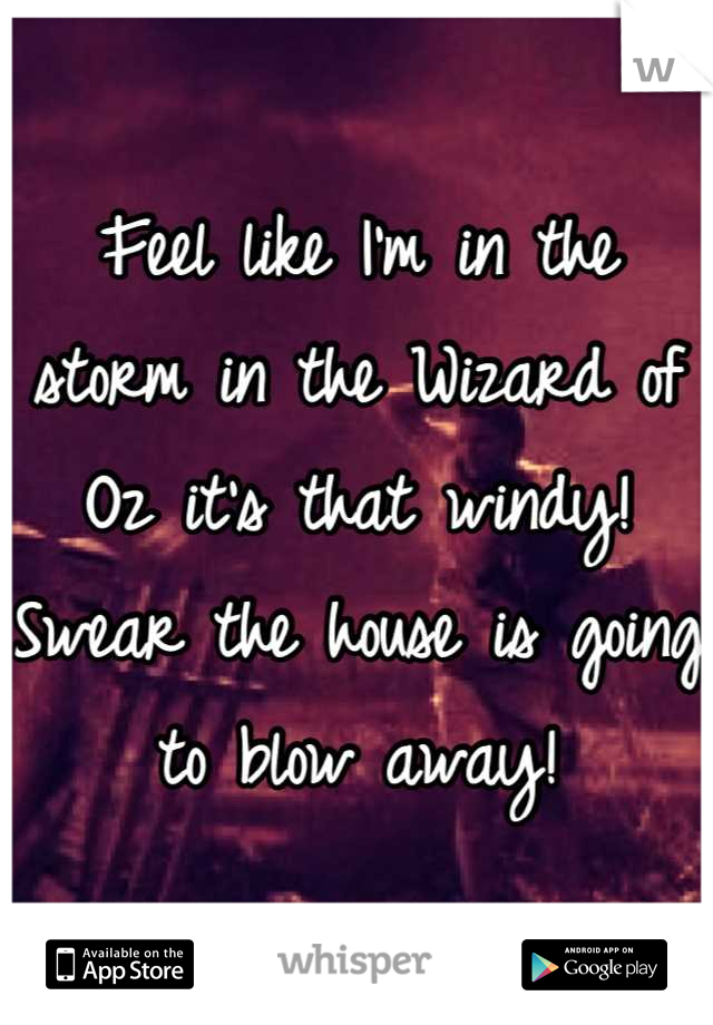 Feel like I'm in the storm in the Wizard of Oz it's that windy! Swear the house is going to blow away!