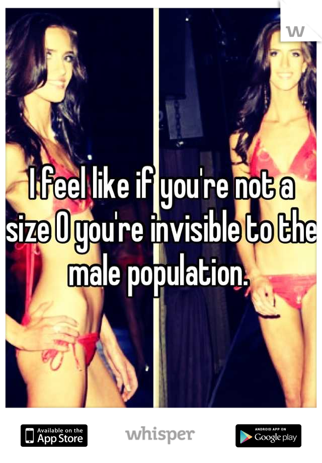 I feel like if you're not a size 0 you're invisible to the male population. 