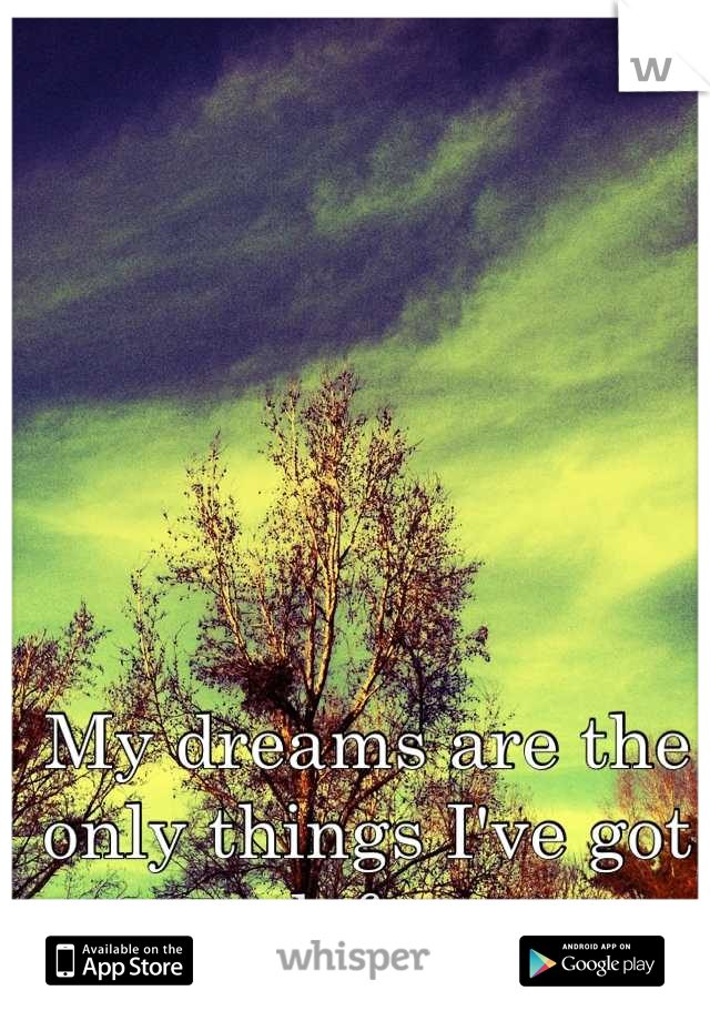 My dreams are the only things I've got left. 