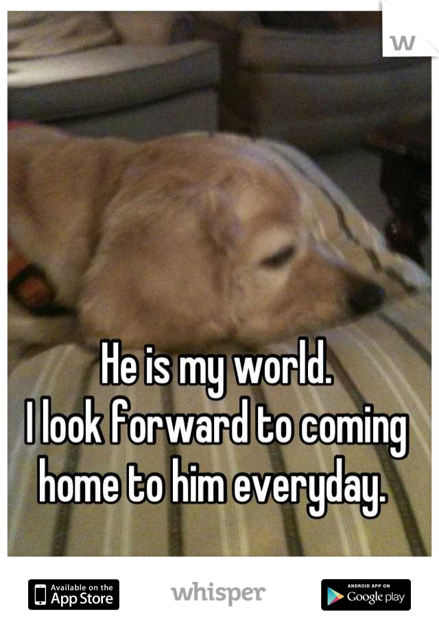 He is my world. 
I look forward to coming home to him everyday. 