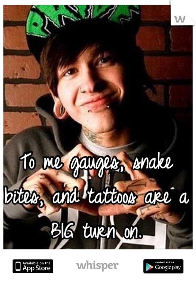 To me gauges, snake bites, and tattoos are a BIG turn on.