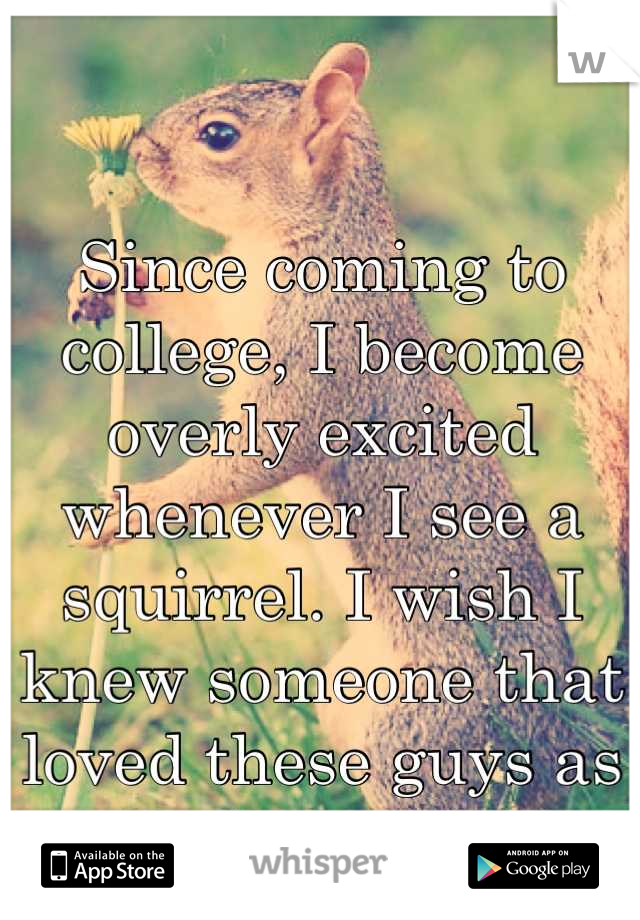 Since coming to college, I become overly excited whenever I see a squirrel. I wish I knew someone that loved these guys as much as I do! ❤