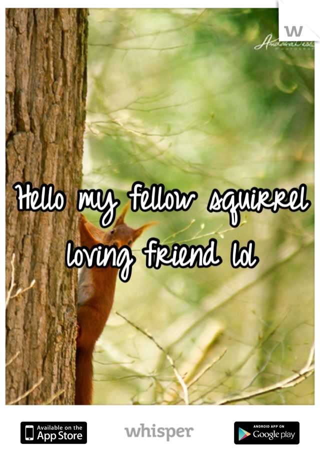 Hello my fellow squirrel loving friend lol