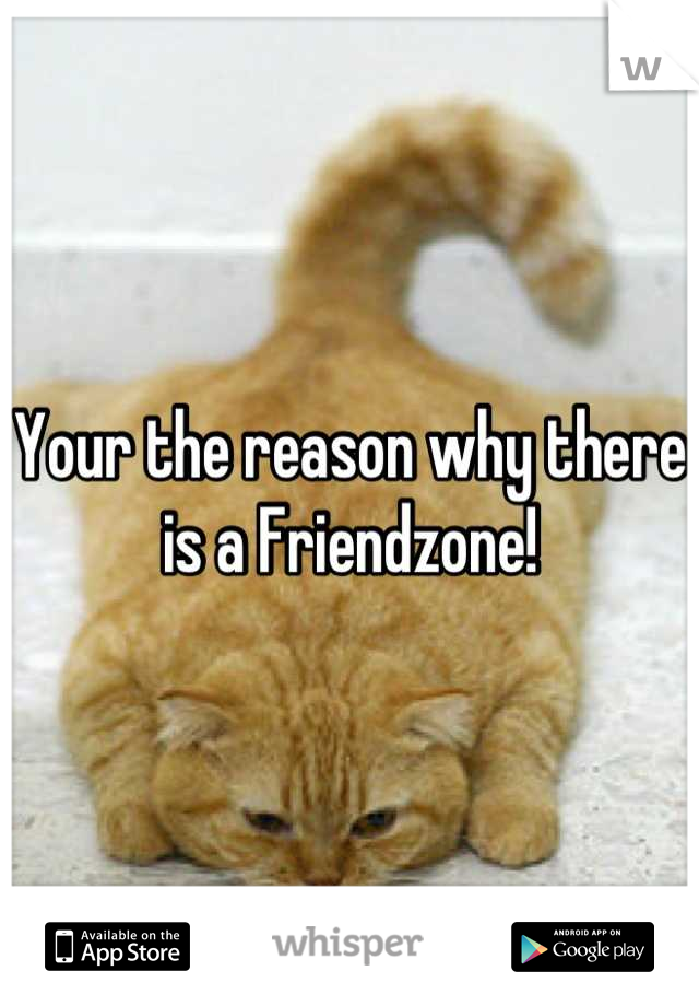 Your the reason why there is a Friendzone!
