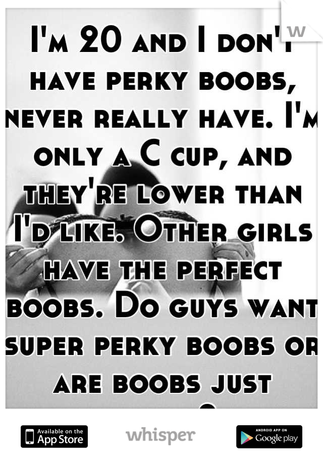 I'm 20 and I don't have perky boobs, never really have. I'm only a C cup, and they're lower than I'd like. Other girls have the perfect boobs. Do guys want super perky boobs or are boobs just boobs?