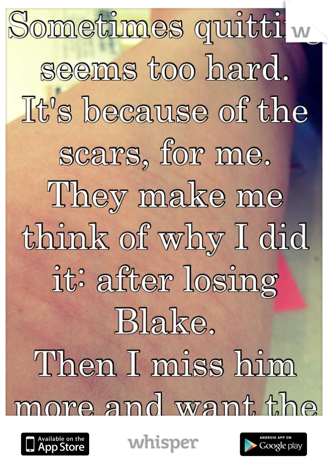 Sometimes quitting seems too hard.
It's because of the scars, for me.
They make me think of why I did it: after losing Blake.
Then I miss him more and want the blade.