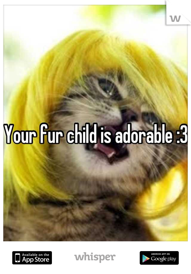 Your fur child is adorable :3 