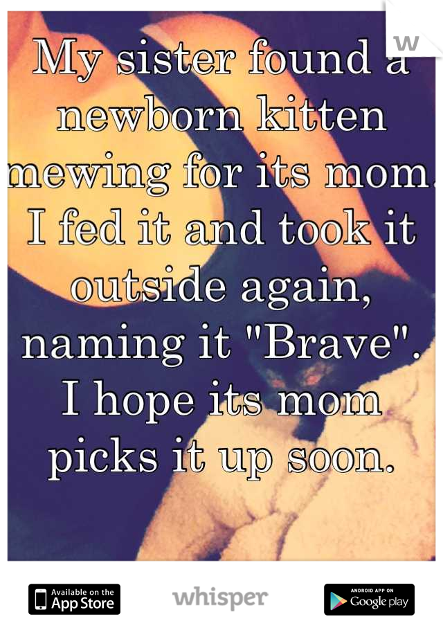 My sister found a newborn kitten mewing for its mom.
I fed it and took it outside again, naming it "Brave". 
I hope its mom picks it up soon.
