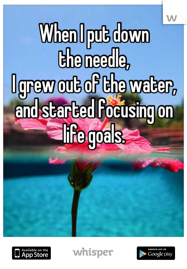 When I put down
the needle,
I grew out of the water,
and started focusing on
life goals.
