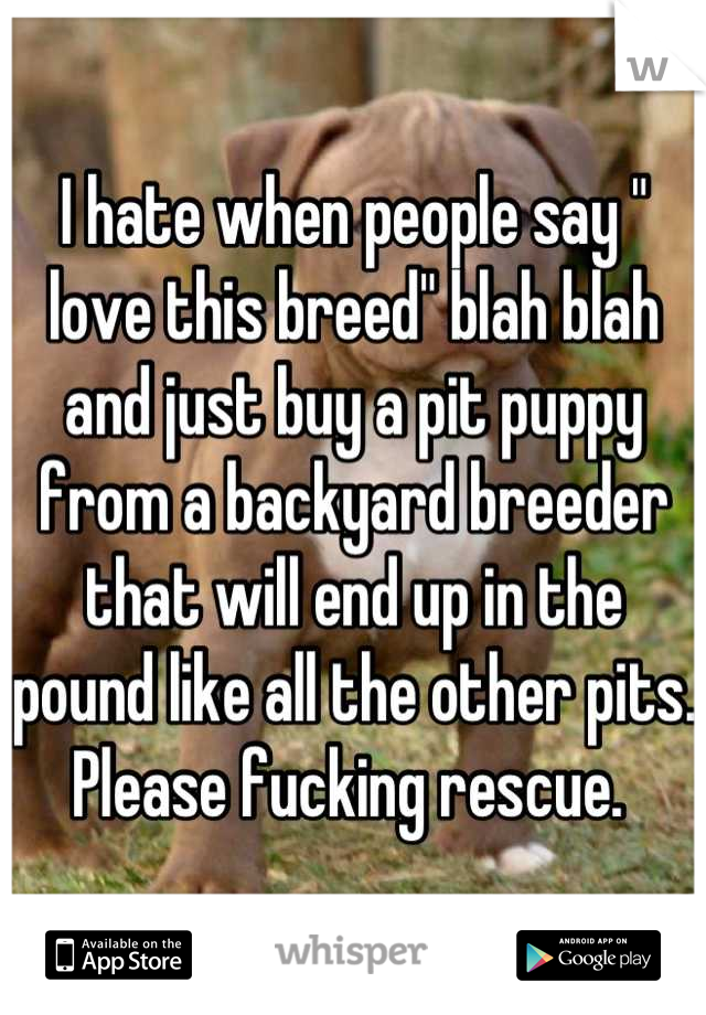 I hate when people say " love this breed" blah blah and just buy a pit puppy from a backyard breeder that will end up in the pound like all the other pits. 
Please fucking rescue. 