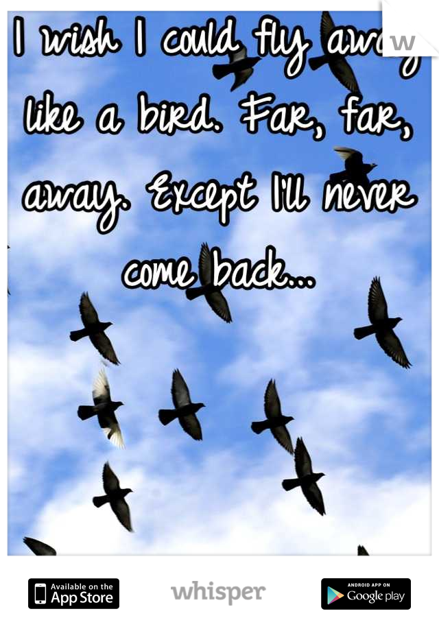 I wish I could fly away like a bird. Far, far, away. Except I'll never come back...