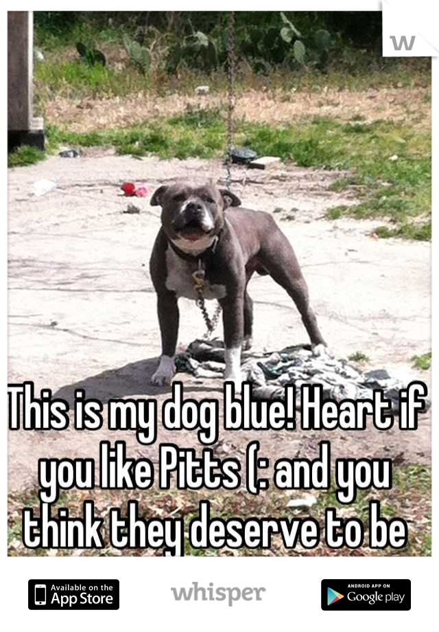 This is my dog blue! Heart if you like Pitts (: and you think they deserve to be treated like any other dog
