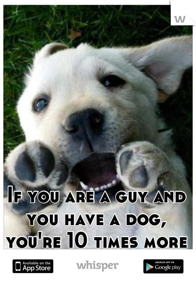 If you are a guy and you have a dog, you're 10 times more attractive. 