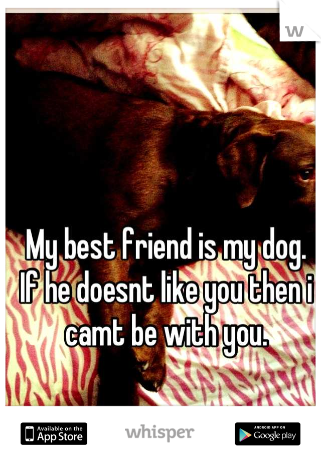My best friend is my dog.
If he doesnt like you then i camt be with you.