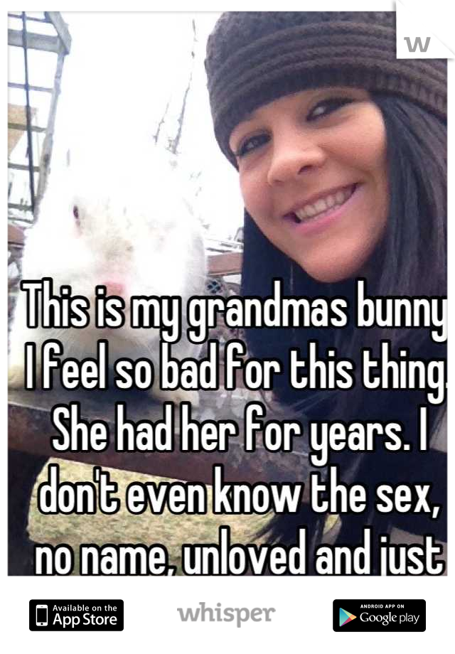 This is my grandmas bunny. I feel so bad for this thing. She had her for years. I don't even know the sex, no name, unloved and just sits in a cage all day :(