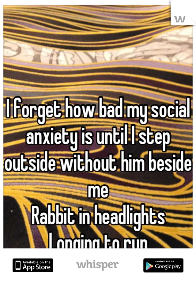 I forget how bad my social anxiety is until I step outside without him beside me
Rabbit in headlights
Longing to run