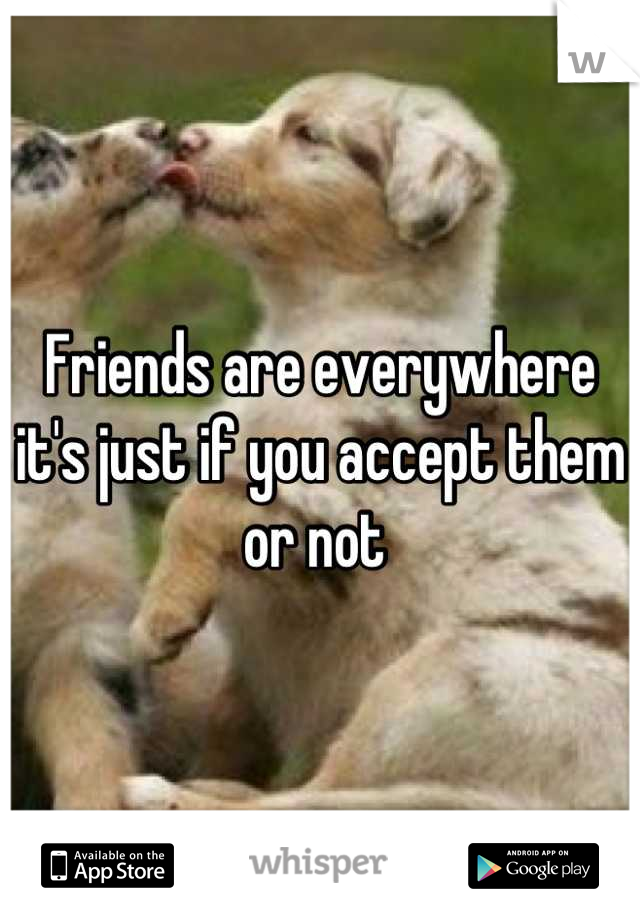 Friends are everywhere it's just if you accept them or not 
