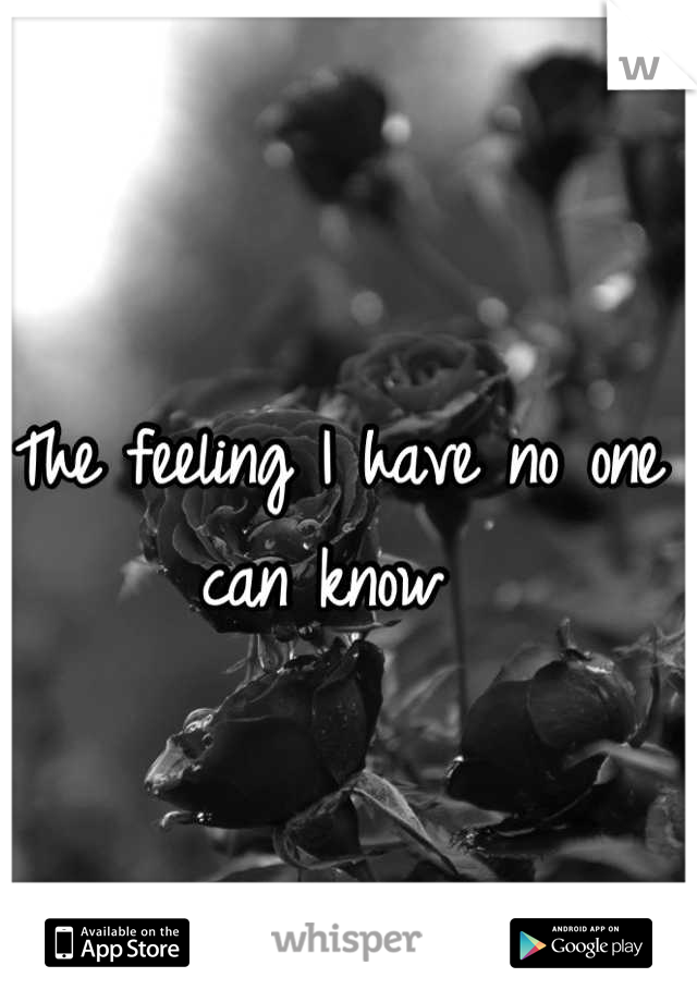 The feeling I have no one can know 
