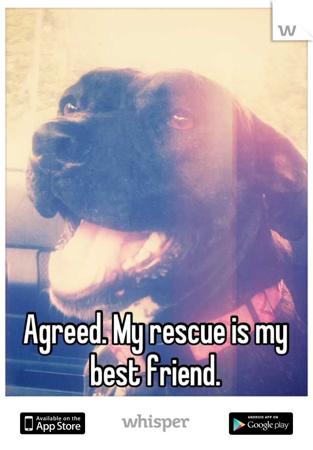Agreed. My rescue is my best friend.
