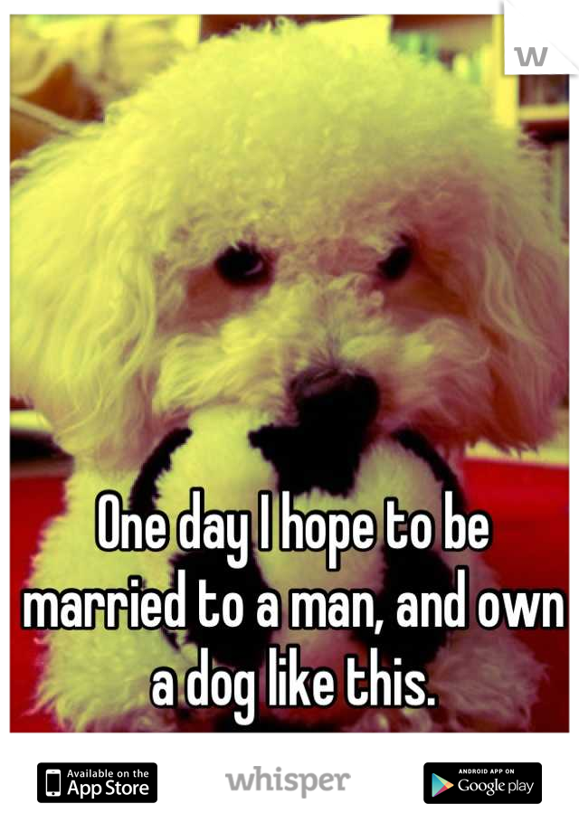One day I hope to be married to a man, and own a dog like this.