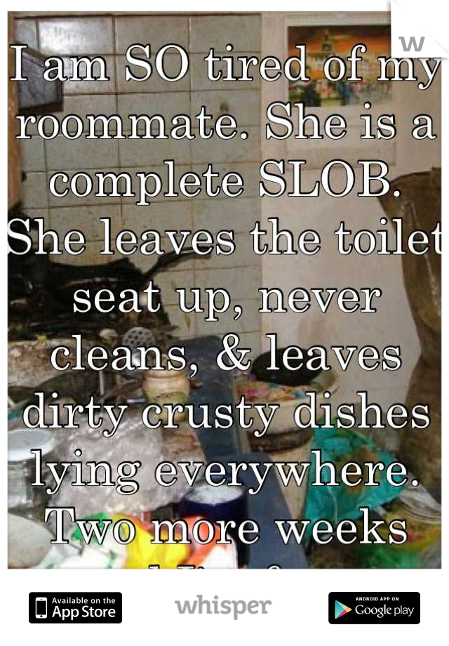 I am SO tired of my roommate. She is a complete SLOB. She leaves the toilet seat up, never cleans, & leaves dirty crusty dishes lying everywhere. Two more weeks and I'm free. 