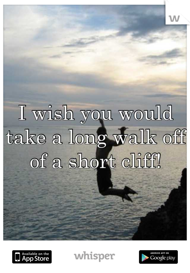 I wish you would take a long walk off of a short cliff!