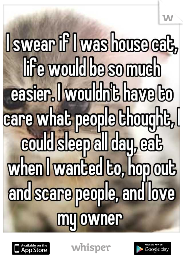 I swear if I was house cat, life would be so much easier. I wouldn't have to care what people thought, I could sleep all day, eat when I wanted to, hop out and scare people, and love my owner 