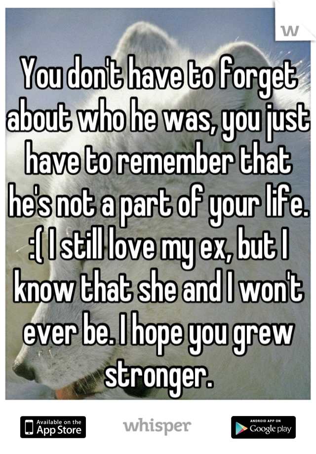 You don't have to forget about who he was, you just have to remember that he's not a part of your life. :( I still love my ex, but I know that she and I won't ever be. I hope you grew stronger.