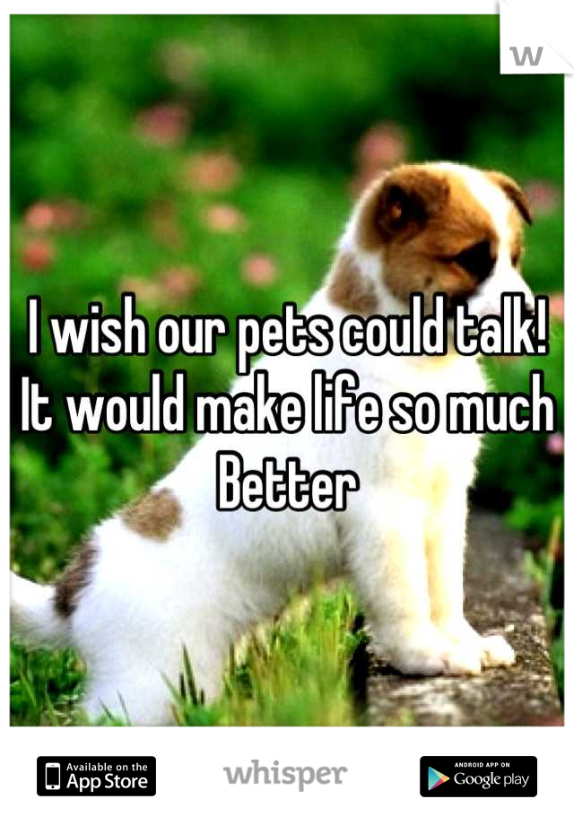 I wish our pets could talk! 
It would make life so much 
Better