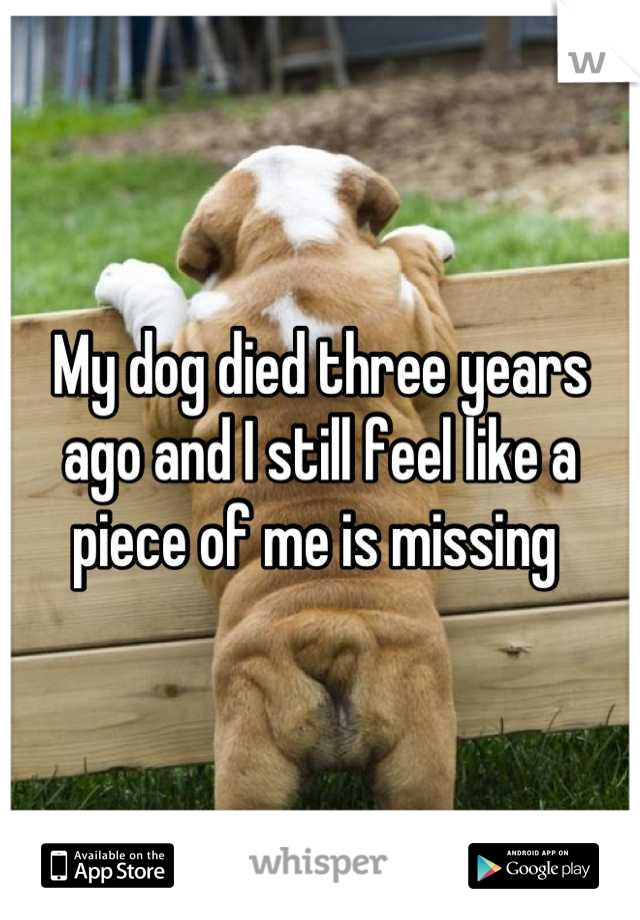 My dog died three years ago and I still feel like a piece of me is missing 