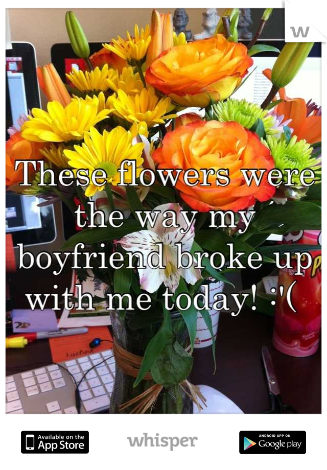 These flowers were the way my boyfriend broke up with me today! :'( 