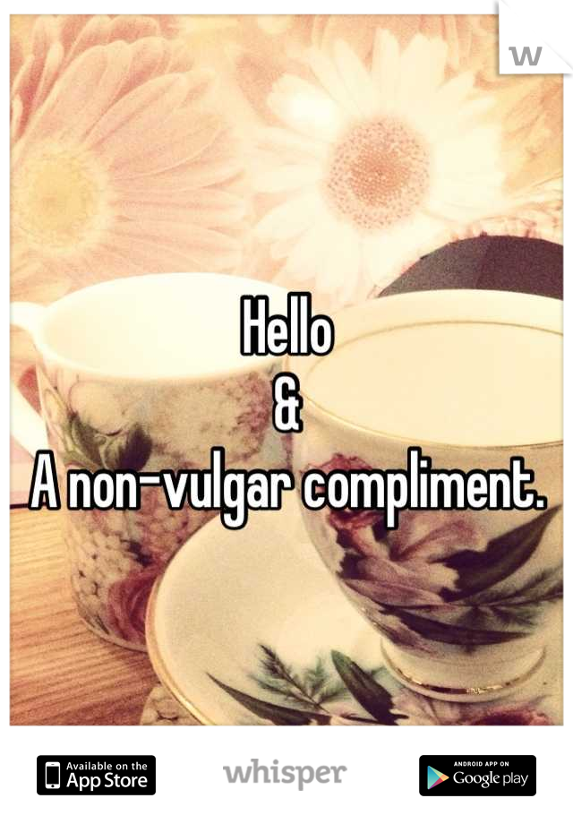 Hello 
&
A non-vulgar compliment.
