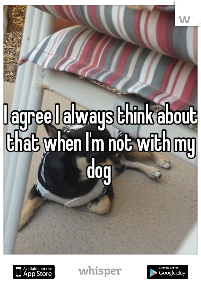 I agree I always think about that when I'm not with my dog 