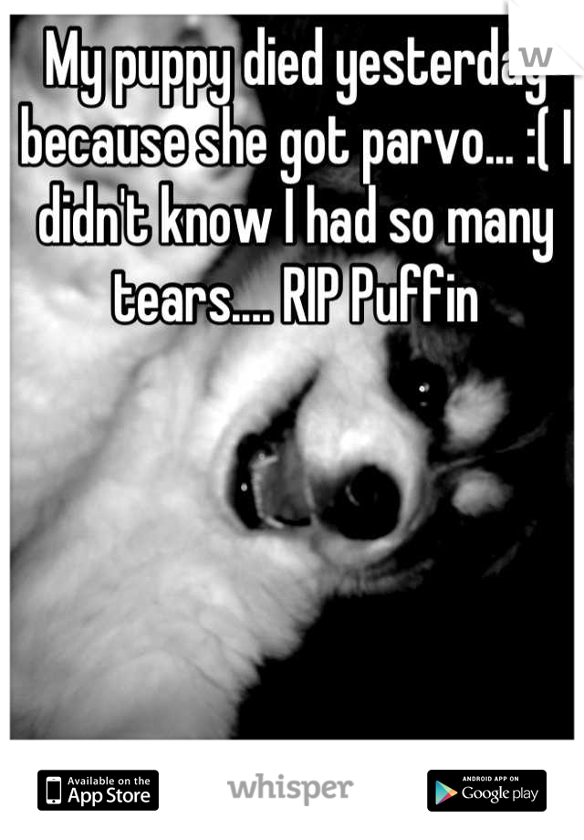 My puppy died yesterday because she got parvo... :( I didn't know I had so many tears.... RIP Puffin