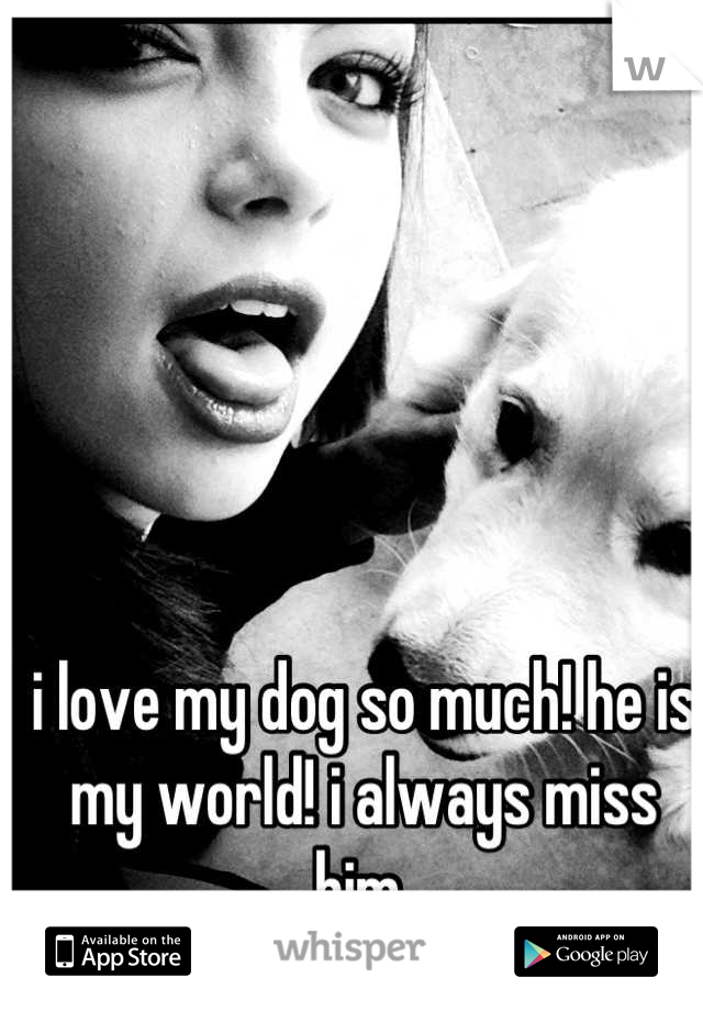 i love my dog so much! he is my world! i always miss him 