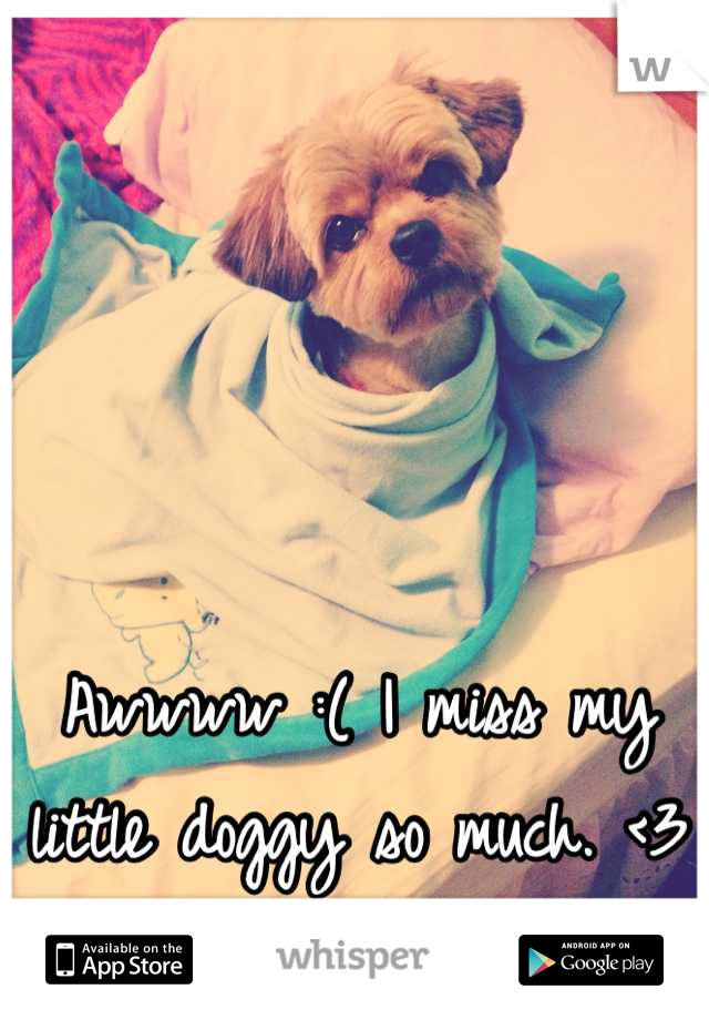 Awwww :( I miss my little doggy so much. <3 