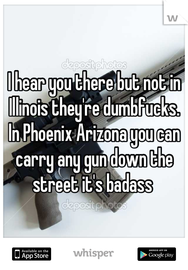 I hear you there but not in Illinois they're dumbfucks. In Phoenix Arizona you can carry any gun down the street it's badass 
