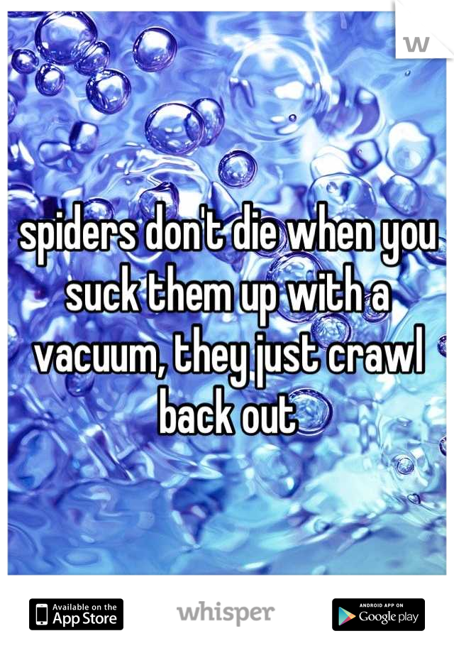 spiders don't die when you suck them up with a vacuum, they just crawl back out