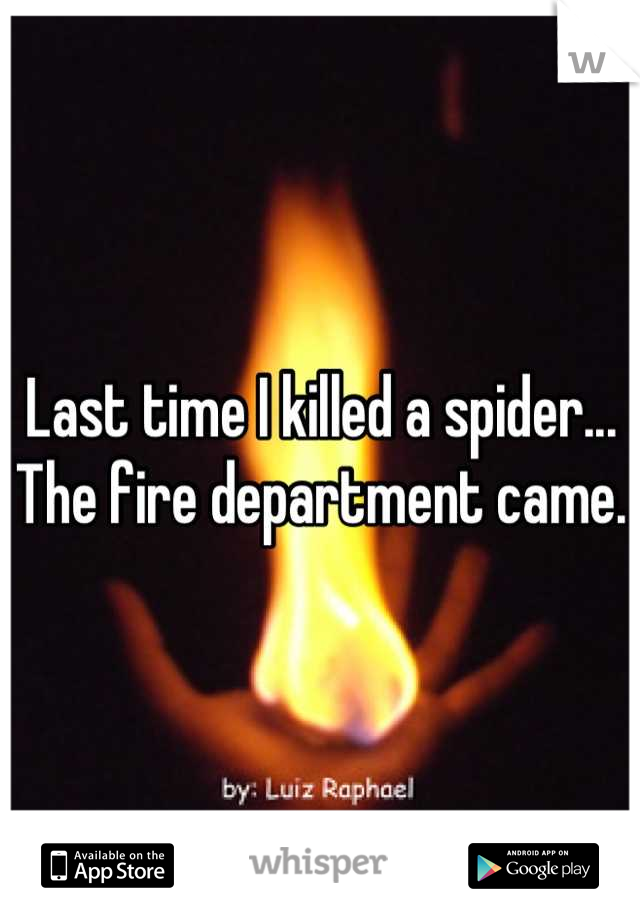 Last time I killed a spider... The fire department came. 