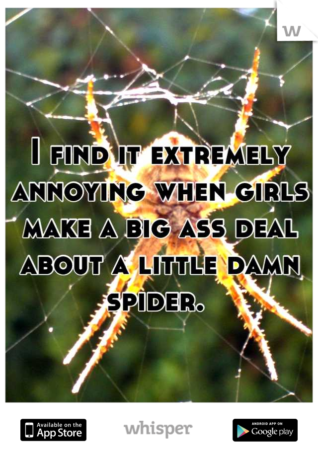I find it extremely annoying when girls make a big ass deal about a little damn spider. 