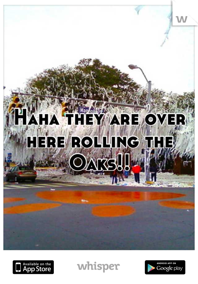 Haha they are over here rolling the Oaks!!