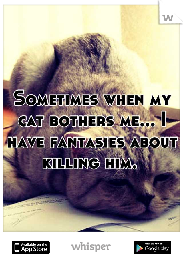 Sometimes when my cat bothers me... I have fantasies about killing him. 
